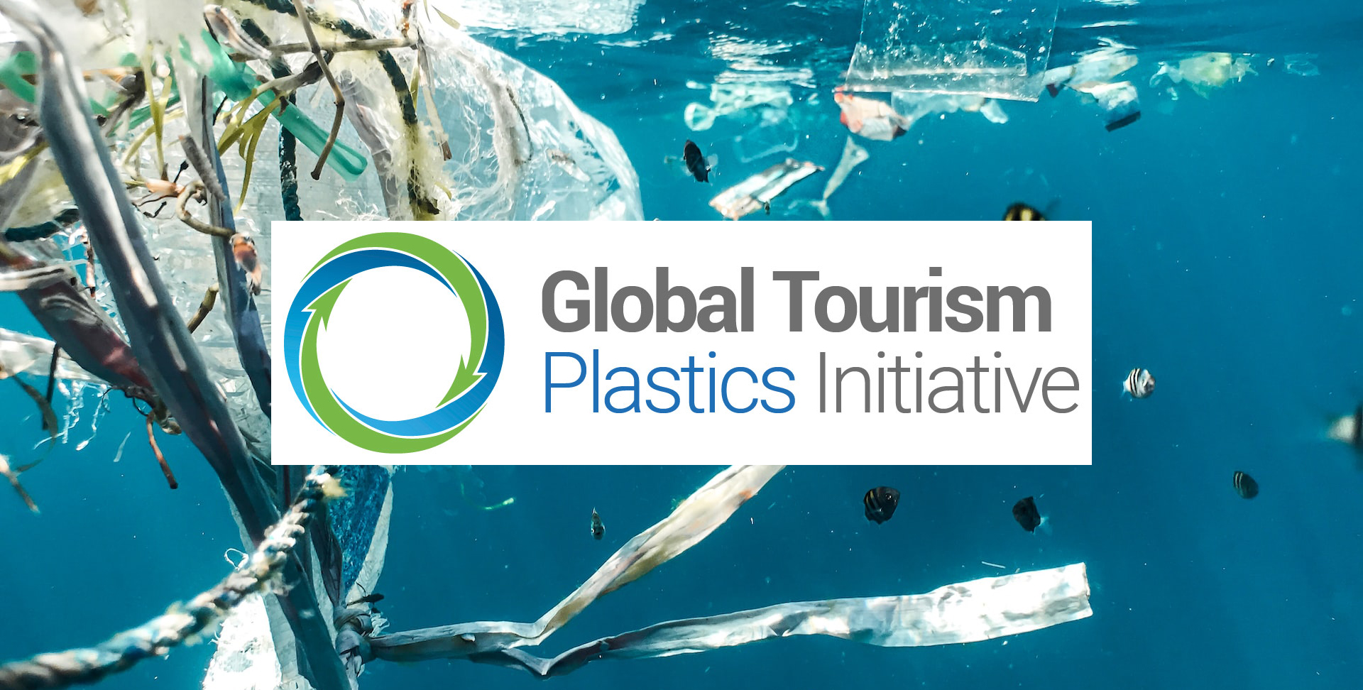 global-plastic-initiative
